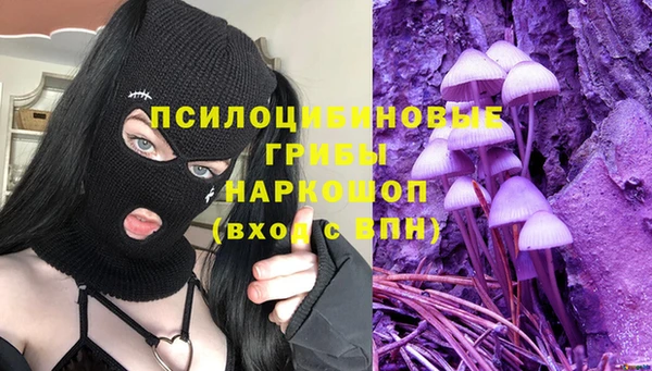 МДПВ Абаза