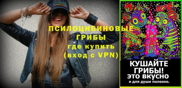 МДПВ Абаза