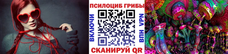 как найти   Новомичуринск  Псилоцибиновые грибы мицелий 
